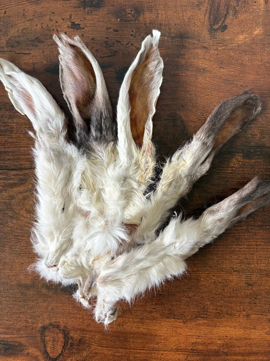 Hairy Rabbit Ears x5