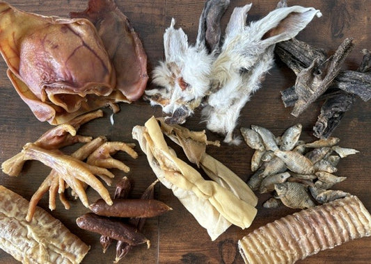 Puppy Starter Mega Selection